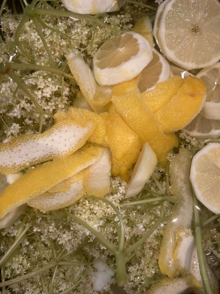 Homemade Elderflower and Lemon Cordial Recipe