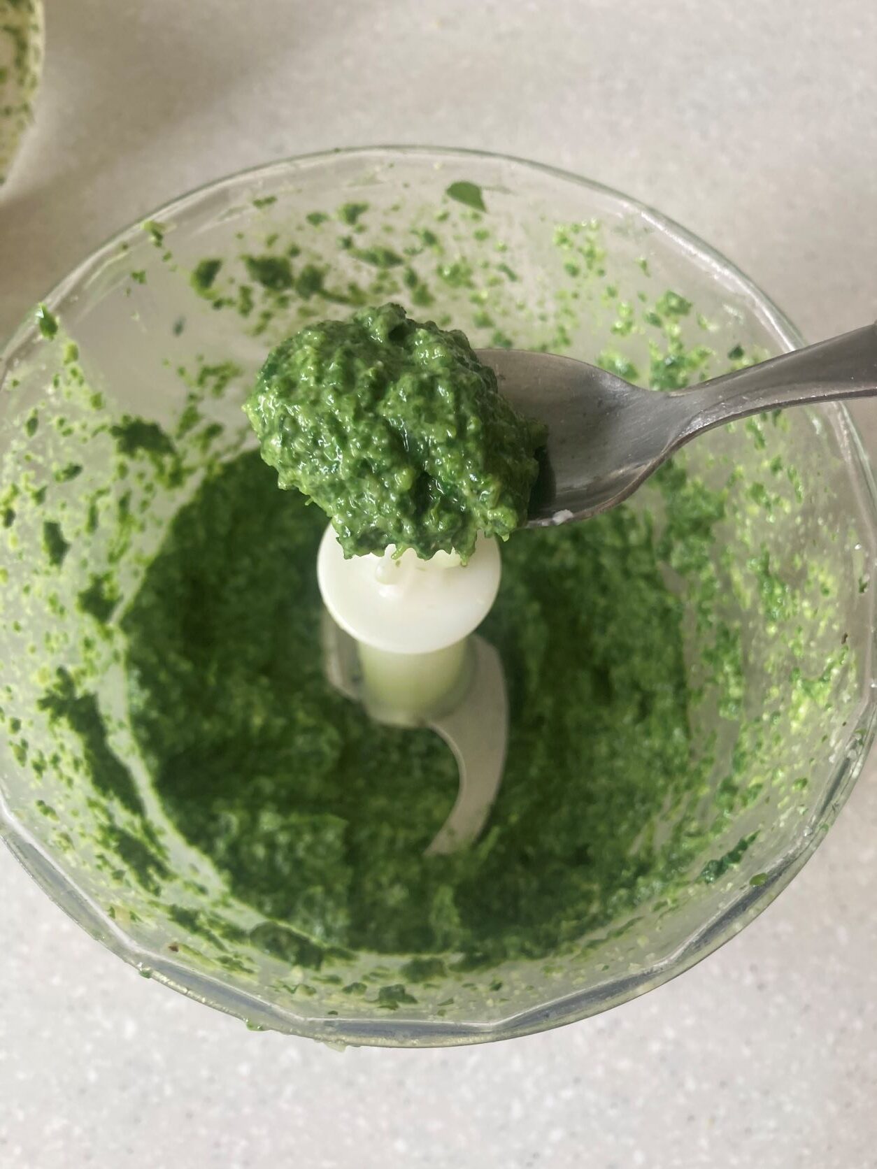 Easy Homemade Basil and Spinach Pesto Recipe