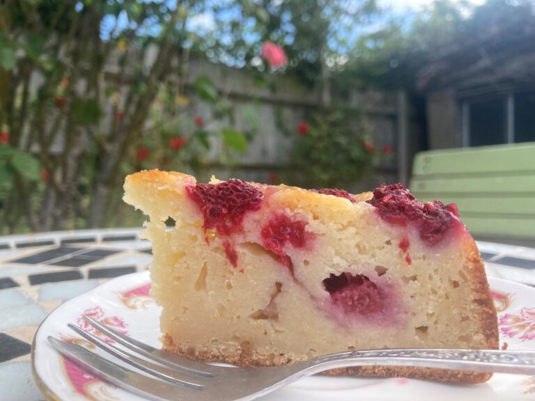 Homemade Raspberry and Almond Ricotta Cake with Elderflower Drizzle